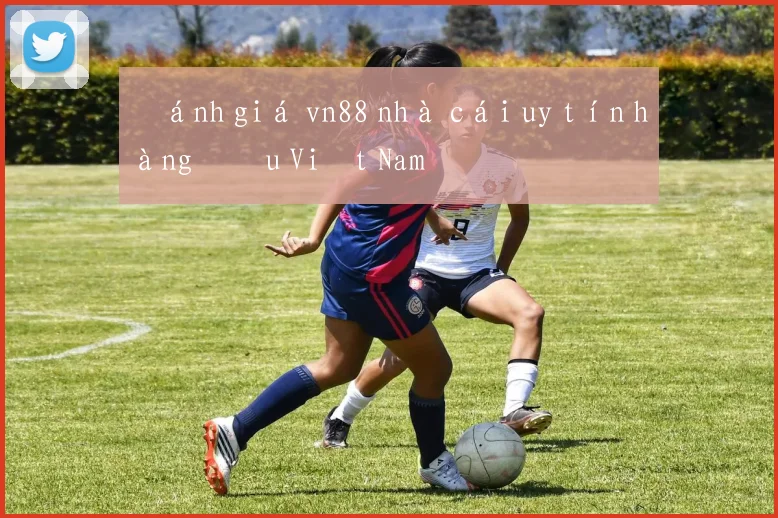 Đánh giá vn88 nhà cái uy tín hàng đầu Việt Nam