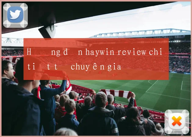 Hướng dẫn haywin review chi tiết từ chuyên gia