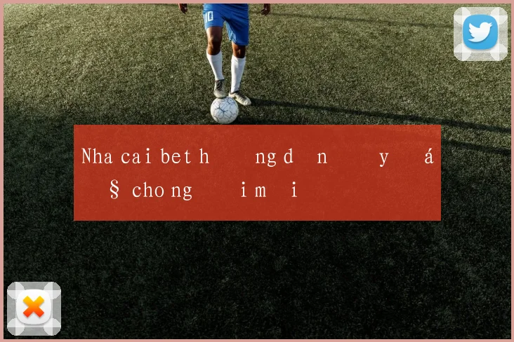 Nha cai bet hướng dẫn đầy đủ cho người mới